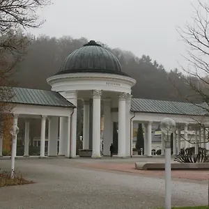 Karlovarská Apartmán Mariánské Lázně